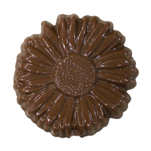 daisyflowerlollipop