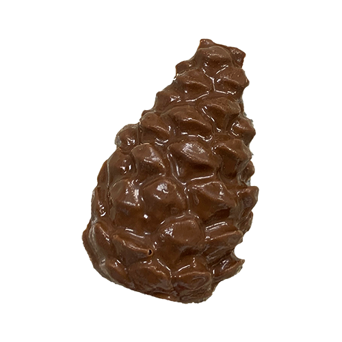 Pinecone