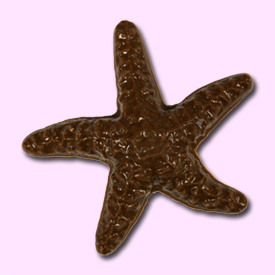 starfish