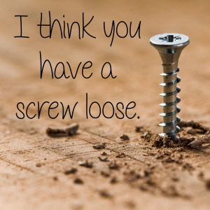 Screw Loose Label